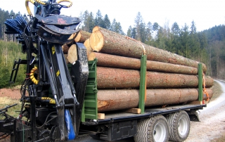 Agraranhänger, Forstanhänger